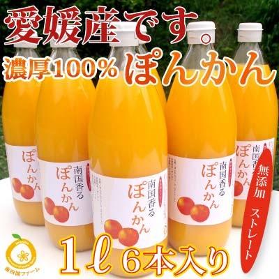愛媛産ポンカンジュース6本 ストレート果汁1000ml x6本 : きなはいや