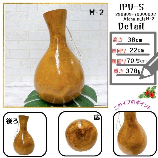 イプ Mサイズ フラ フラダンス 楽器 ハワイ ハワイアン 打楽器