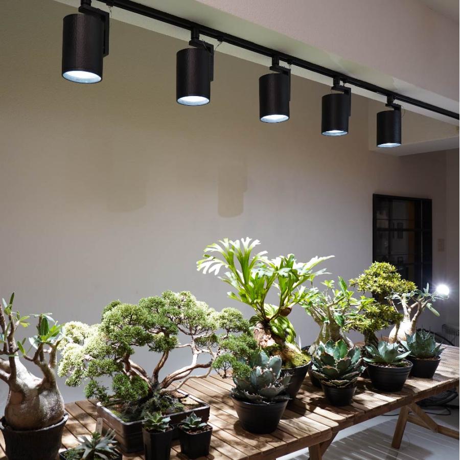 植物育成LEDライト BARREL(バレル) HADES(ハデス) ライティングダクト