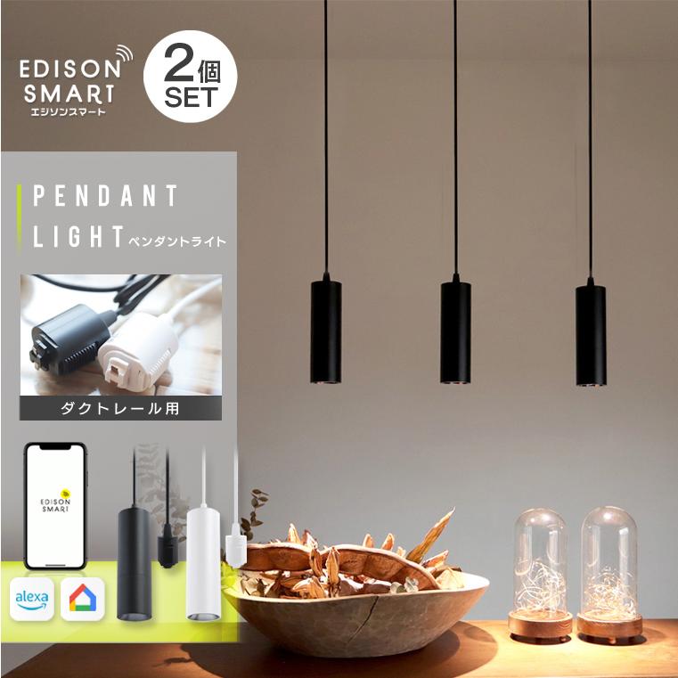 Edison Smart（エジソンスマート） ダクトレール用 ペンダントライト 2