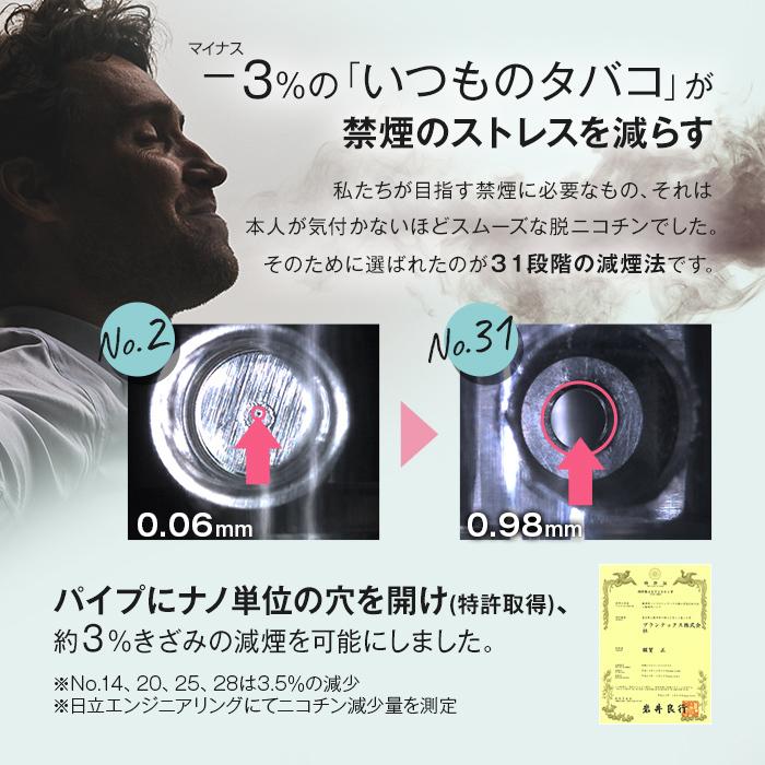 Rien pipe 離煙パイプ GR/GS 31本セット 禁煙グッズ 簡単禁煙 減煙