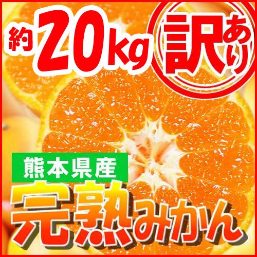 訳あり みかん 約20キロ 熊本産 完熟蜜柑 3S〜3Lサイズ : 厳選