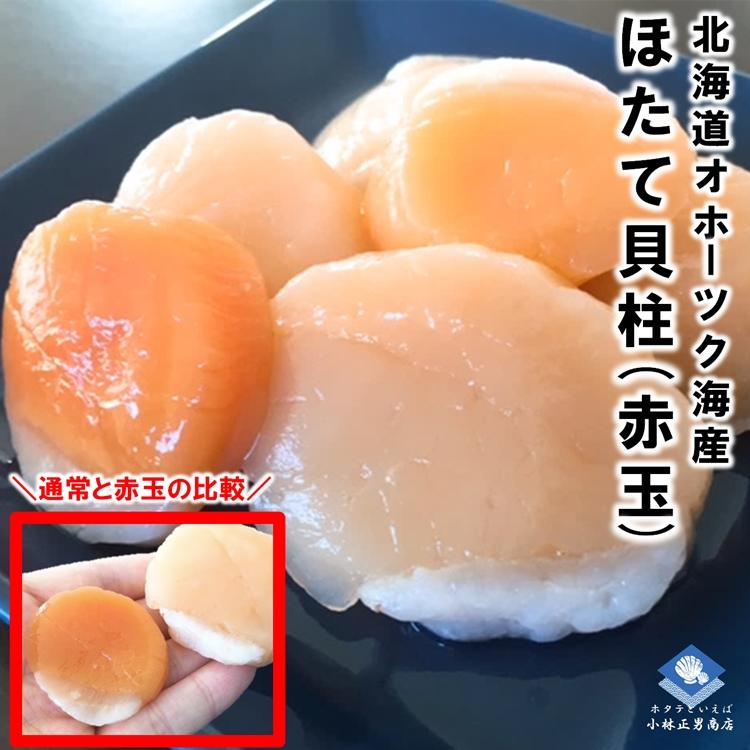 数量限定】ホタテ 冷凍ホタテ貝柱 北海道産 赤玉 1kg 約1000粒に1粒の