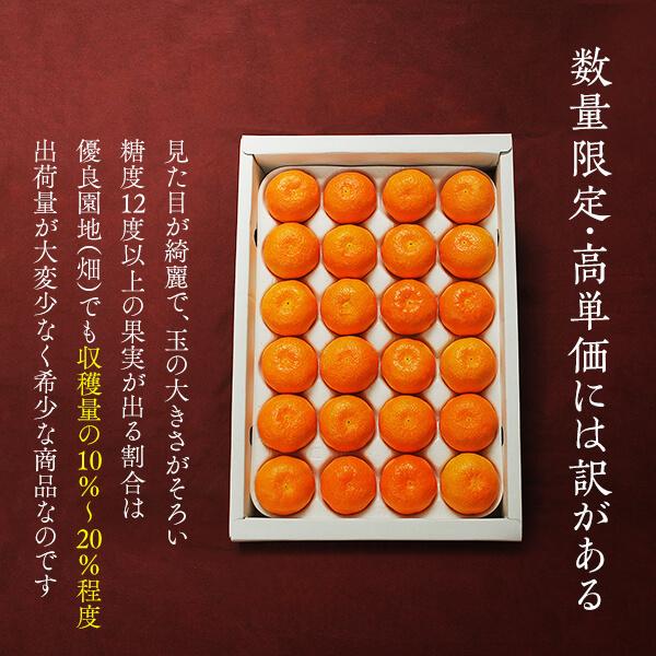 みかん めっちゃ甘いんじゃ 糖度12度以上 箱込2kg（内容量1.8kg） 特選