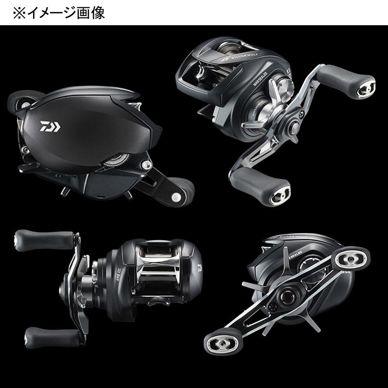 DAIWA（ダイワ） ベイトリール SILVER WOLF(シルバーウルフ)SV TW