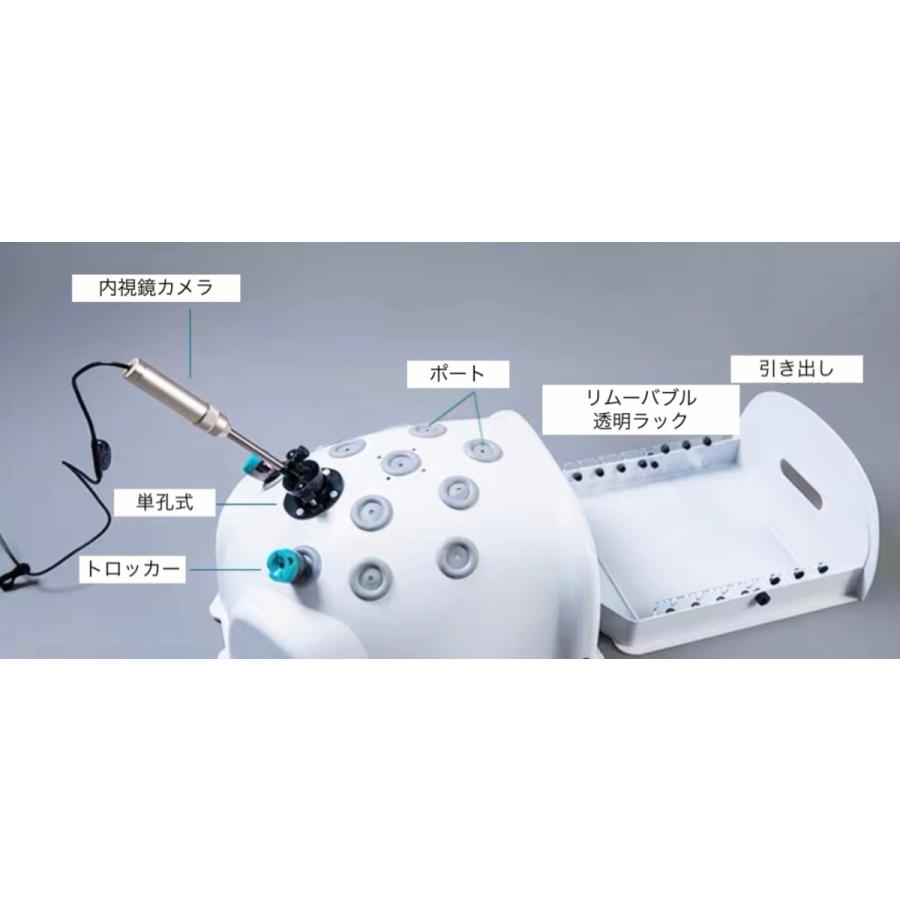 腹腔鏡 練習トレーニングキット フルセット ドライボックス ラパロ