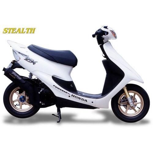 BURIAL（ベリアル） ステルス フルエキゾーストマフラー ライブDIO-ZX