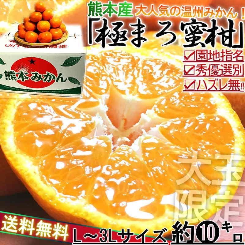 極まろ蜜柑 温州みかん 約10kg L〜3Lサイズ 熊本県産 大玉サイズ 農園