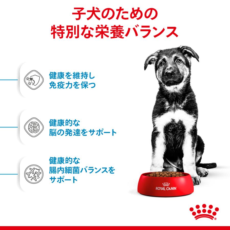 ロイヤルカナン（ROYAL CANIN） 犬 マキシ パピー 15kg 犬 フード