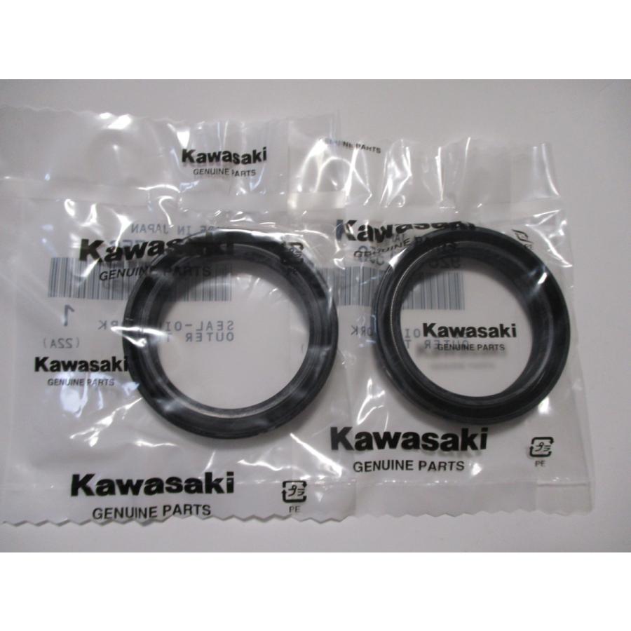 送料無料☆新品☆ZX−10(ZXT00B）☆純正フロントフォーク