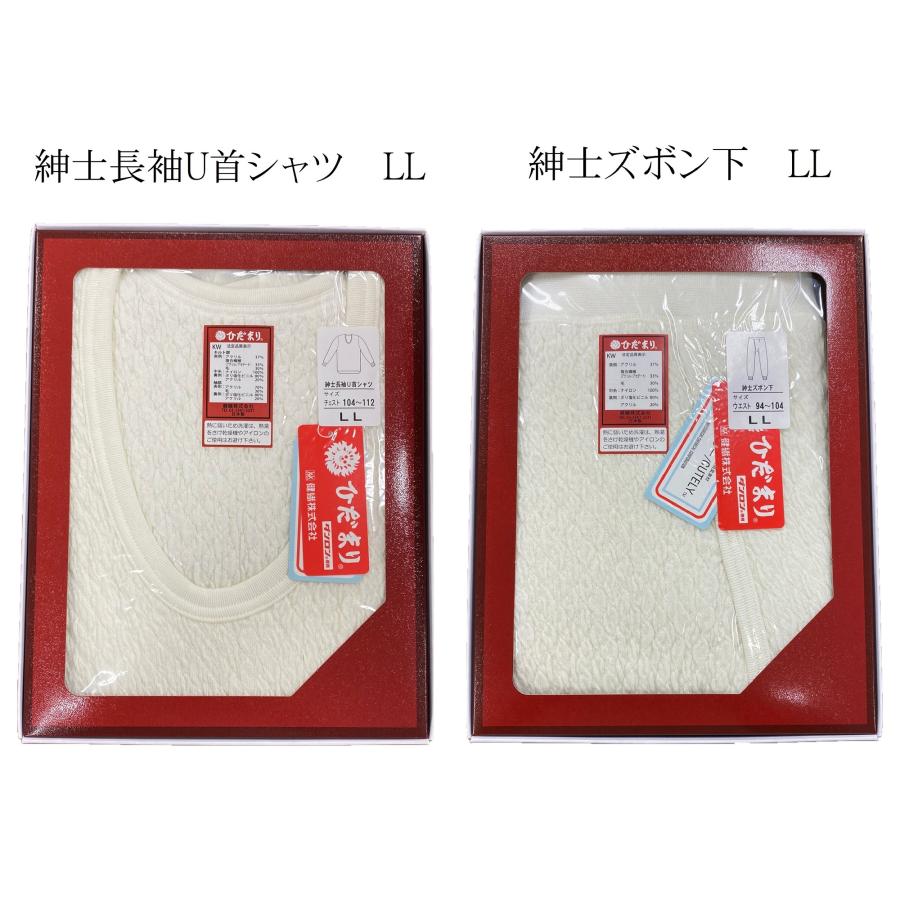 ひだまり 紳士用 上下セット ひだまり極 健繊 健康肌着 ズボン下 長袖U