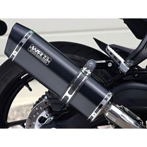 Kaedear（カエディア） CyberLED(サイバーLED) テールランプ カスタム