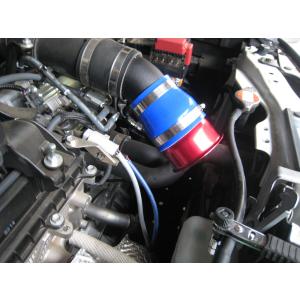 BLITZ（ブリッツ） サクションキット スイフトスポーツ ZC33S カラー