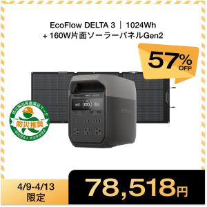 ECOFLOW ポータブル電源 セット リン酸鉄 DELTA 3 Plus + 専用バッグ