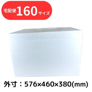 クーラーボックス 発泡スチロール箱 大型 白色 蓋付 断熱 外猫 保護猫