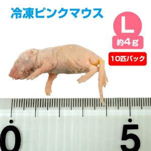 冷凍 エサ 冷凍ピンクマウス Sサイズ 約2g 10匹パック T2 クール便発送