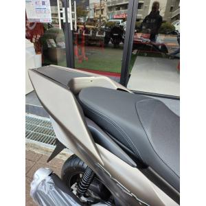 PCX(JK05KF47) デビルマスク 黒ゲルコート : バイクカスタムパーツ