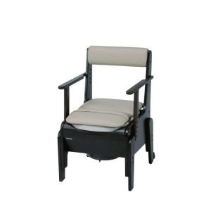 Panasonic（パナソニック） 家具調トイレ 座楽 ひじ掛け昇降 PN-L23707