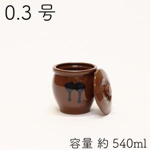 山源陶苑 常滑焼 日本製 陶器製 ミニ壷(ミニかめ) 蓋付き 0.1号 180ml