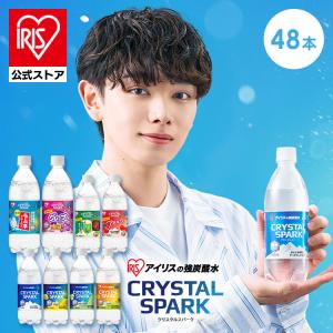 サッポロ 黒ラベル 500ml 24缶入 2ケース (48本) 送料無料 (一部地域