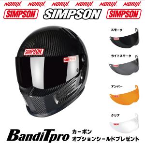 SIMPSON（シンプソン） SPEEDWAY RX12【ブラック】オプションシールド