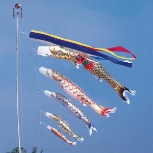 ワタナベ鯉のぼり こいのぼり 錦鯉 ワタナベ 鯉のぼり 黄金 5m 8点 鯉5