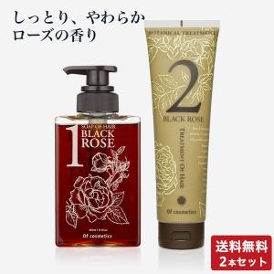 サラメンテ エテルノシャンプー 1000ml リフィル ボリュームシャンプー