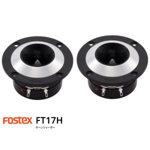 FOSTEX T90A [2個1組] (フォステクス ホーンツィーター) : サガミ