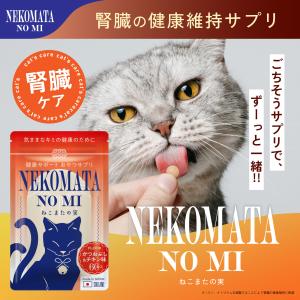 2箱SET ねこり neco-ri 1箱10包入り : OSK store - 通販 - Yahoo