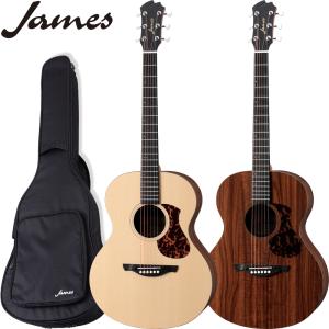 ジェームス（James） J-500S VNT エレアコ アジャスタブルサドル搭載