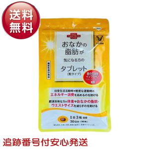 キラリズム スリリン ファイア SLILIN F 22.5g ( 250mg × 90粒 ) ZERO