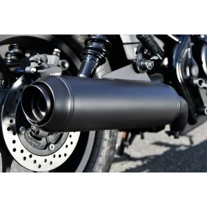 AKRAPOVIC（アクラポビッチ） 直送品 スリップオンライン カーボン