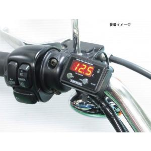 PROTEC（プロテック） 【3月10日出荷】プロテック ハーレー X350 精密