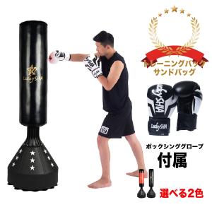 plusnao（プラスナオ） サンドバッグ スタンディングバッグ スタンド型