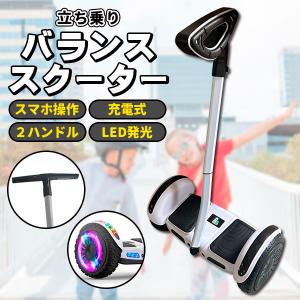 電動スクーター プロテクター付 立ち乗り二輪車 電動バランス