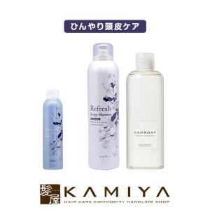レイラス シャンプー300ml|フケ かゆみ 髪にやさしい 敏感肌 ヘアケア