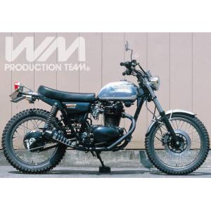 WM（ダブルエム） KHルック テールカウル COMP 250TR KAWASAKI