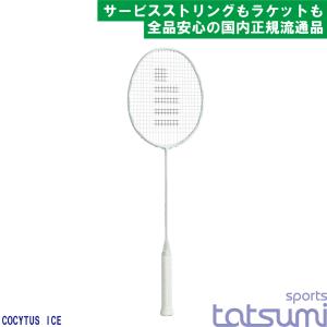 GOSEN(ゴーセン)】INFERNO SMART ＋CORE インフェルノ スマート プラス