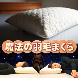 Serta（サータ） ダウンピロー P-916 Sサイズ シングル 枕 300g まくら