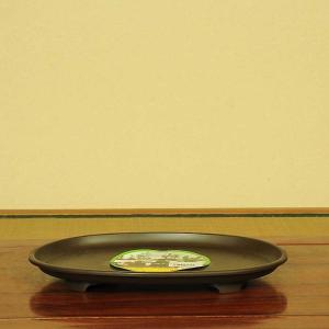 盆栽小鉢：真山（まざん）楕円鉢 13.7cm 【現品】 : 遊恵盆栽 Yahoo!店
