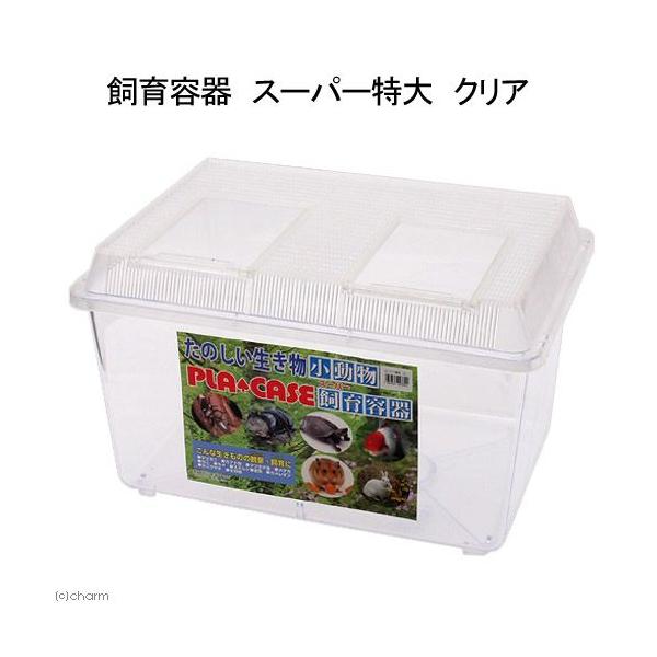 プラケース 飼育容器 スーパー特大 クリア（幅500×奥行き355×高