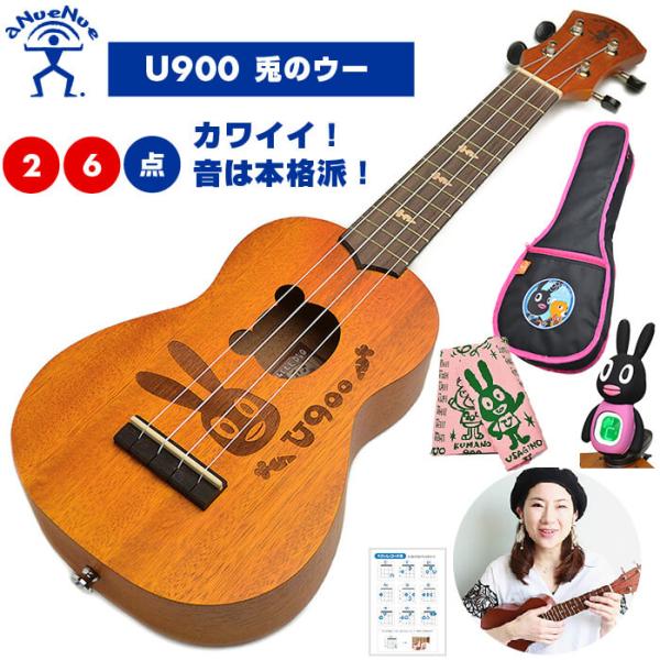 ウクレレ 初心者 セット 入門 2点〜6点 aNueNue aNN-US マホガニー材