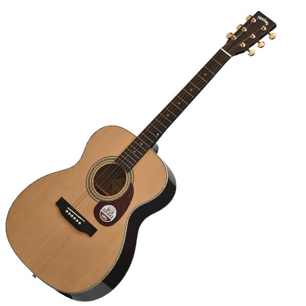 Headway Headway(ヘッドウェイ) / HF-60SS NA アコースティックギター