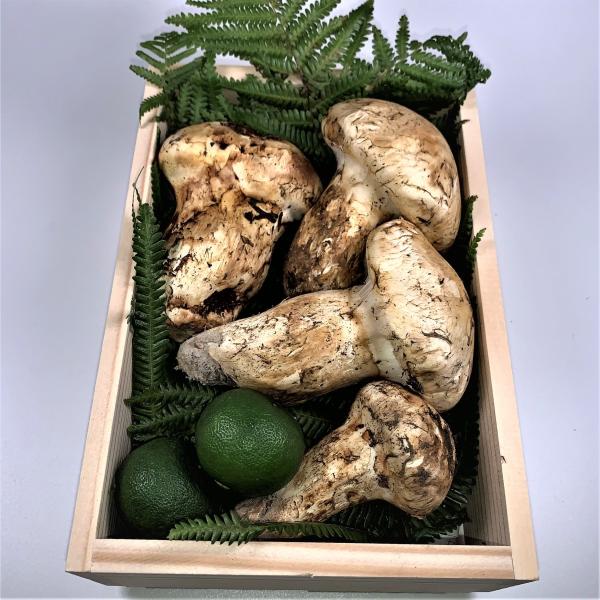 松茸 北米産 贈答用 木箱 300g スダチ2個付き : 夜の八百屋さん - 通販