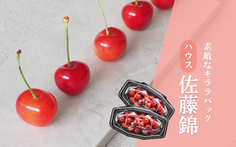 ハウス きららパック 佐藤錦 | 【JA公式】山形名産品を産地直送｜JAさ