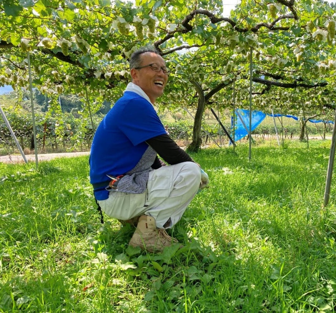 かみのやま シャルドネ 2022 – SUNTORY FROM FARM Online Shop