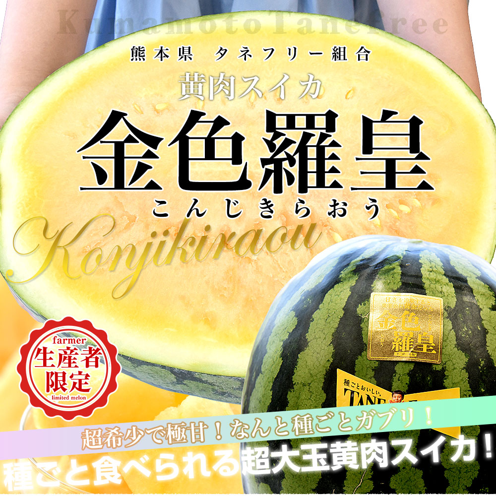 熊本県から産地直送 タネフリー組合 黄肉スイカ「金色羅皇（こんじきら