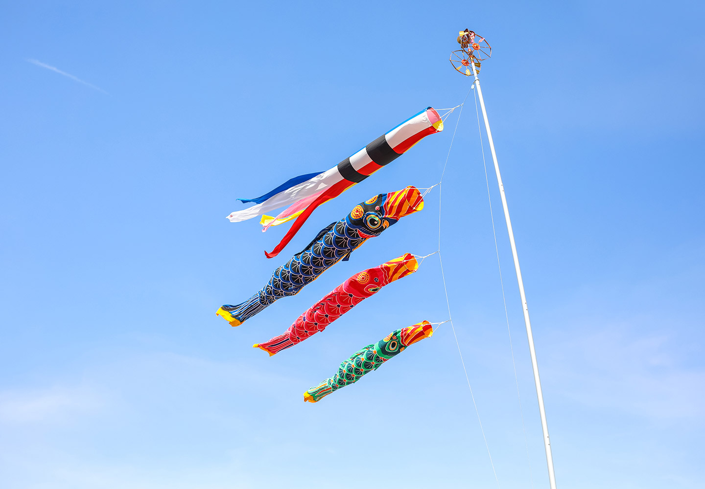 本染甲州鯉のぼり - 井上染物店