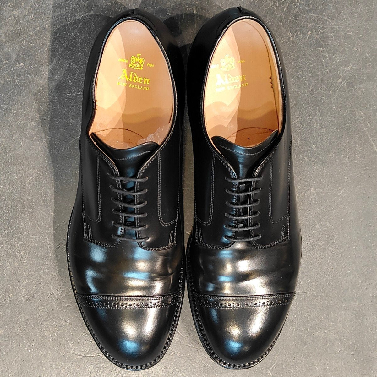 試着程度 【ALDEN】オールデン 56251 パンチドキャップトゥ コードバン