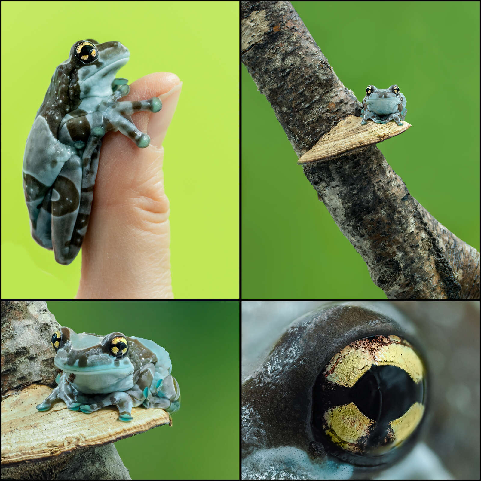 First Impression of the M.Zuiko ED 90mm F3.5 Macro IS PRO | OM SYSTEM